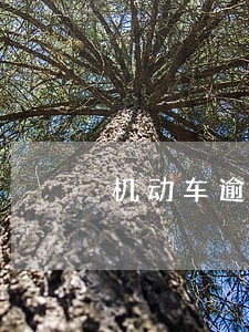 机动车逾期付款会怎么样