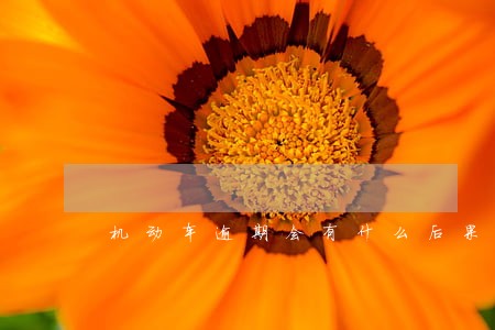 机动车逾期会有什么后果 机动车逾期会有什么后果