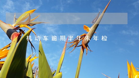 机动车逾期半年未年检 机动车逾期半年未年检