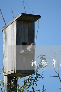 机动车逾期多久年审不罚款 机动车逾期多久年审不罚款