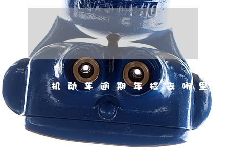 机动车逾期年检去哪里办理 机动车逾期年检去哪里办理