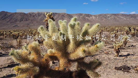 机动车逾期年检如何处罚规定