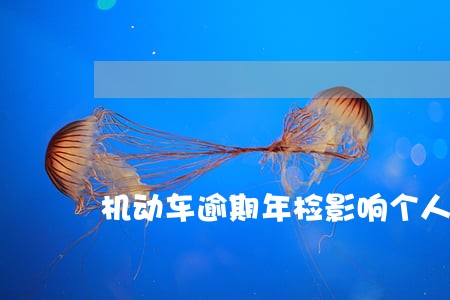 机动车逾期年检影响个人征信吗