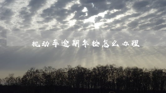 机动车逾期年检怎么办理 机动车逾期年检怎么办理