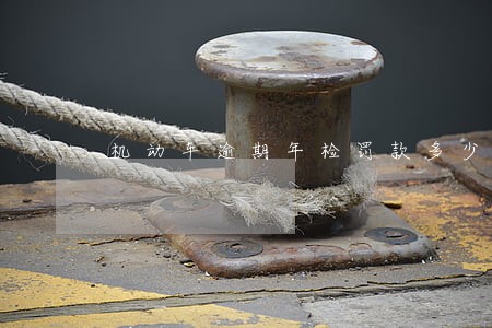 机动车逾期年检罚款多少钱 机动车逾期年检罚款多少钱