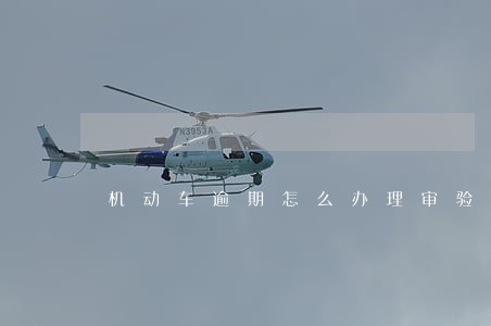 机动车逾期怎么办理审验 机动车逾期怎么办理审验