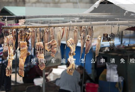 机动车逾期怎么申请免检标 机动车逾期怎么申请免检标