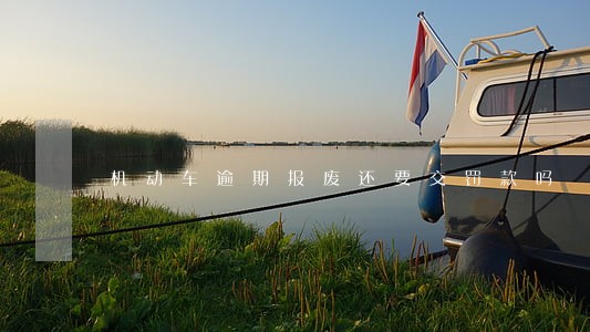 机动车逾期报废还要交罚款吗 机动车逾期报废还要交罚款吗