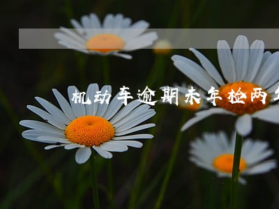 机动车逾期未年检两年 机动车逾期未年检两年