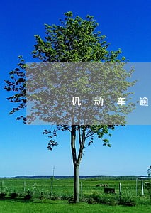 机动车逾期未年检保险理赔 机动车逾期未年检保险理赔