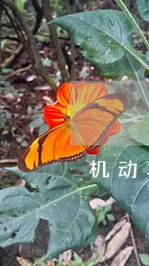 机动车逾期未年检保险赔吗 机动车逾期未年检保险赔吗