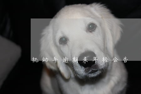 机动车逾期未年检公告 机动车逾期未年检公告