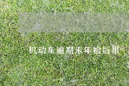 机动车逾期未年检后果 机动车逾期未年检后果