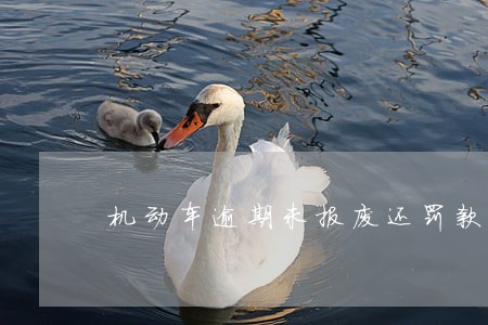 机动车逾期未报废还罚款扣分吗 机动车逾期未报废还罚款扣分吗