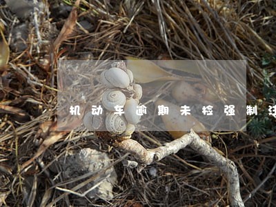 机动车逾期未检强制注销 机动车逾期未检强制注销