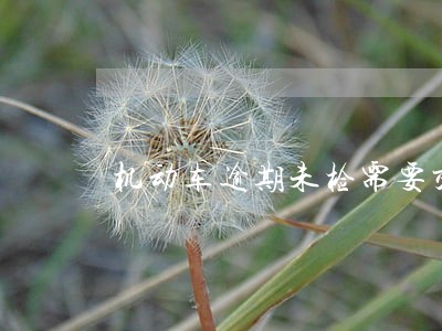 机动车逾期未检需要交罚款吗 机动车逾期未检需要交罚款吗
