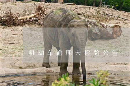 机动车逾期未检验公告 机动车逾期未检验公告