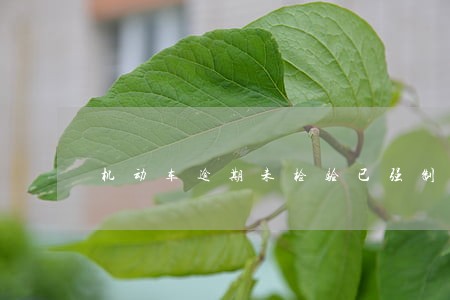 机动车逾期未检验已强制注销 机动车逾期未检验已强制注销