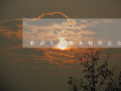机动车逾期未检验怎么交罚款 机动车逾期未检验怎么交罚款