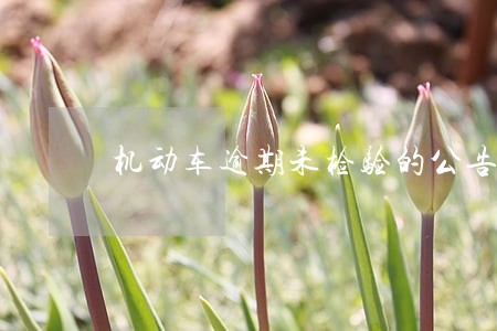 机动车逾期未检验的公告 机动车逾期未检验的公告