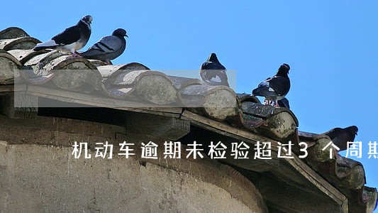 机动车逾期未检验超过3个周期 机动车逾期未检验超过3个周期