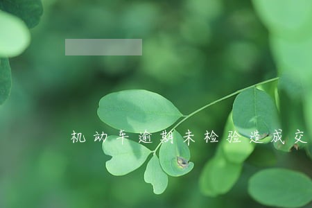 机动车逾期未检验造成交通事故 机动车逾期未检验造成交通事故