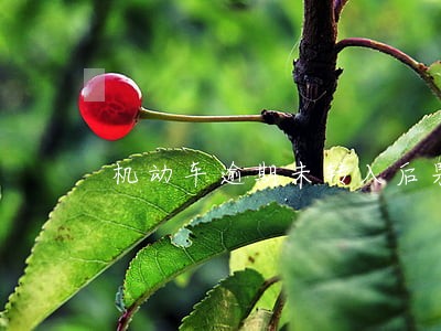 机动车逾期未转入后果 机动车逾期未转入后果