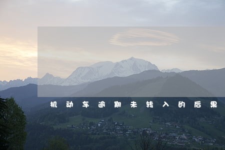 机动车逾期未转入的后果 机动车逾期未转入的后果