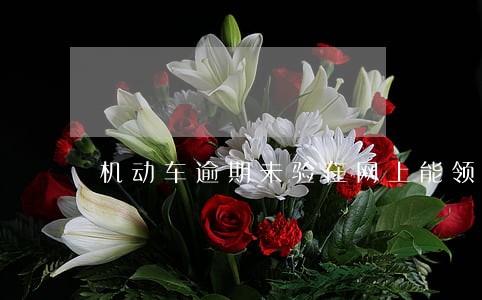 机动车逾期未验在网上能领标吗 机动车逾期未验在网上能领标吗