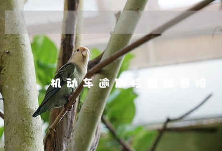 机动车逾期检查缴费吗 机动车逾期检查缴费吗