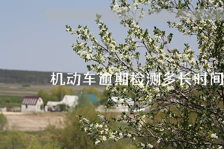 机动车逾期检测多长时间被处罚 机动车逾期检测多长时间被处罚