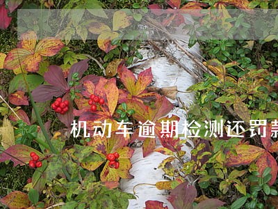 机动车逾期检测还罚款吗 机动车逾期检测还罚款吗