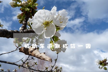 机动车逾期检验一周