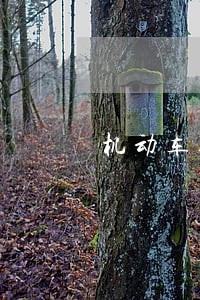 机动车逾期检验两年怎么处理 机动车逾期检验两年怎么处理