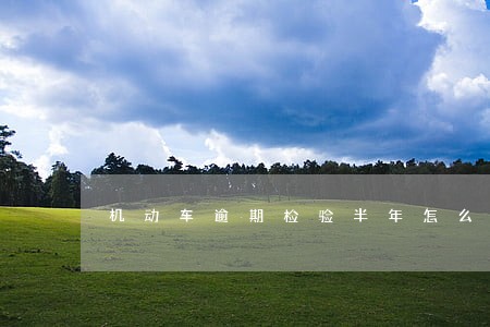 机动车逾期检验半年怎么处理 机动车逾期检验半年怎么处理