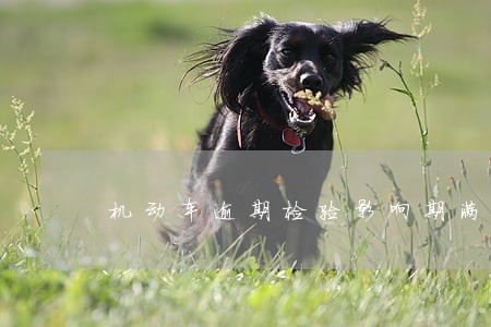 机动车逾期检验影响期满换证吗 机动车逾期检验影响期满换证吗