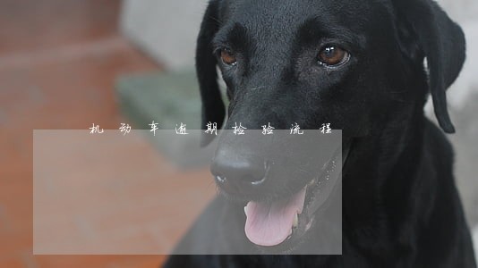机动车逾期检验流程 机动车逾期检验流程