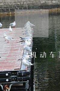 机动车逾期检验罚款吗 机动车逾期检验罚款吗