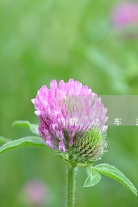 机动车逾期检验超一年半 机动车逾期检验超一年半
