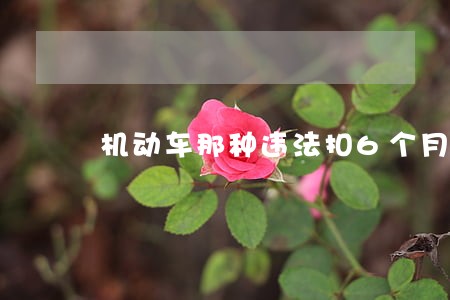 机动车那种违法扣6个月 机动车那种违法扣6个月