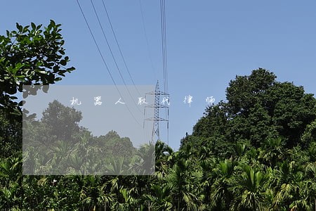 机器人取代律师 机器人取代律师