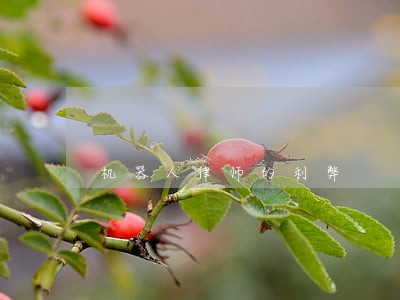 机器人律师的利弊 机器人律师的利弊