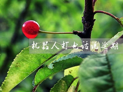 机器人打电话说逾期 机器人打电话说逾期