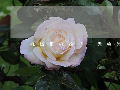 机场租机逾期一天会怎样 机场租机逾期一天会怎样