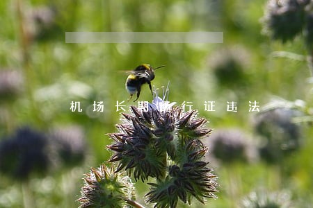 机场长期通行证违法 机场长期通行证违法