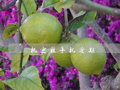 机密租手机逾期 机密租手机逾期