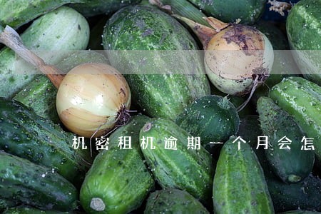 机密租机逾期一个月会怎么样 机密租机逾期一个月会怎么样