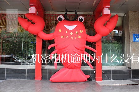 机密租机逾期为什么没有催款