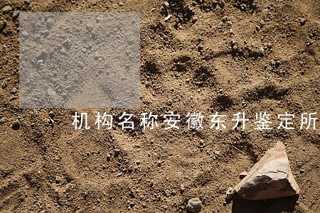 机构名称安徽东升鉴定所