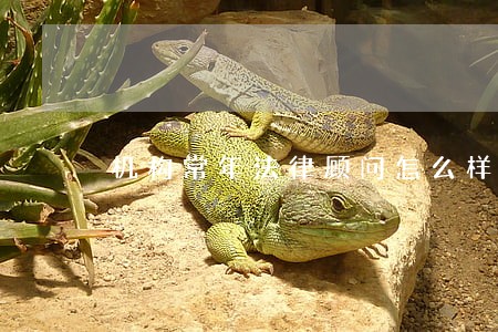 机构常年法律顾问怎么样 机构常年法律顾问怎么样